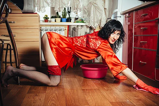 sexy hausfrau